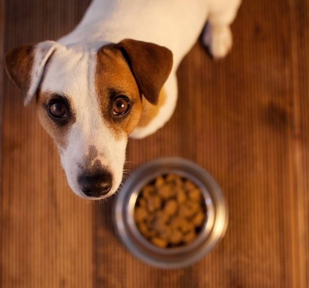 Policosanol (Triacontanol) supplier Policosanol (Triacontanol) supplier