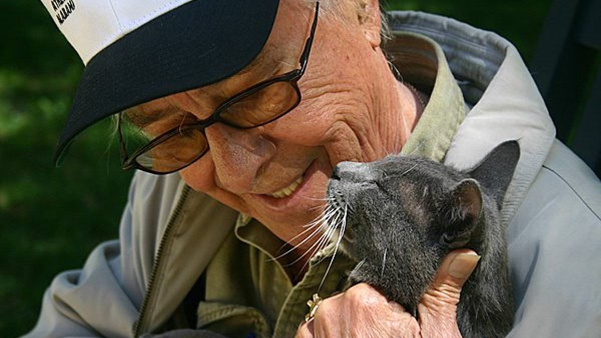 Older man bonding with cat