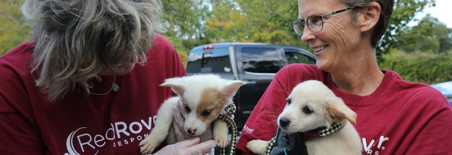 Two women RedRover Responders volunteers holding small white puppies and smiling