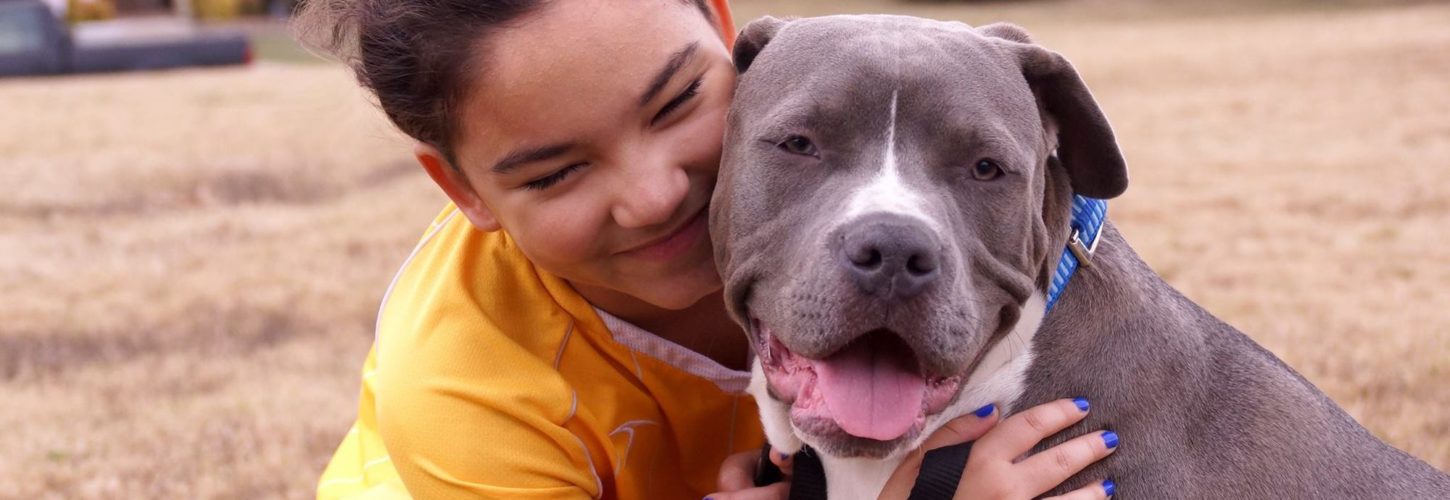 Young child smiling outside while loosely hugging a grey smiling pit bull