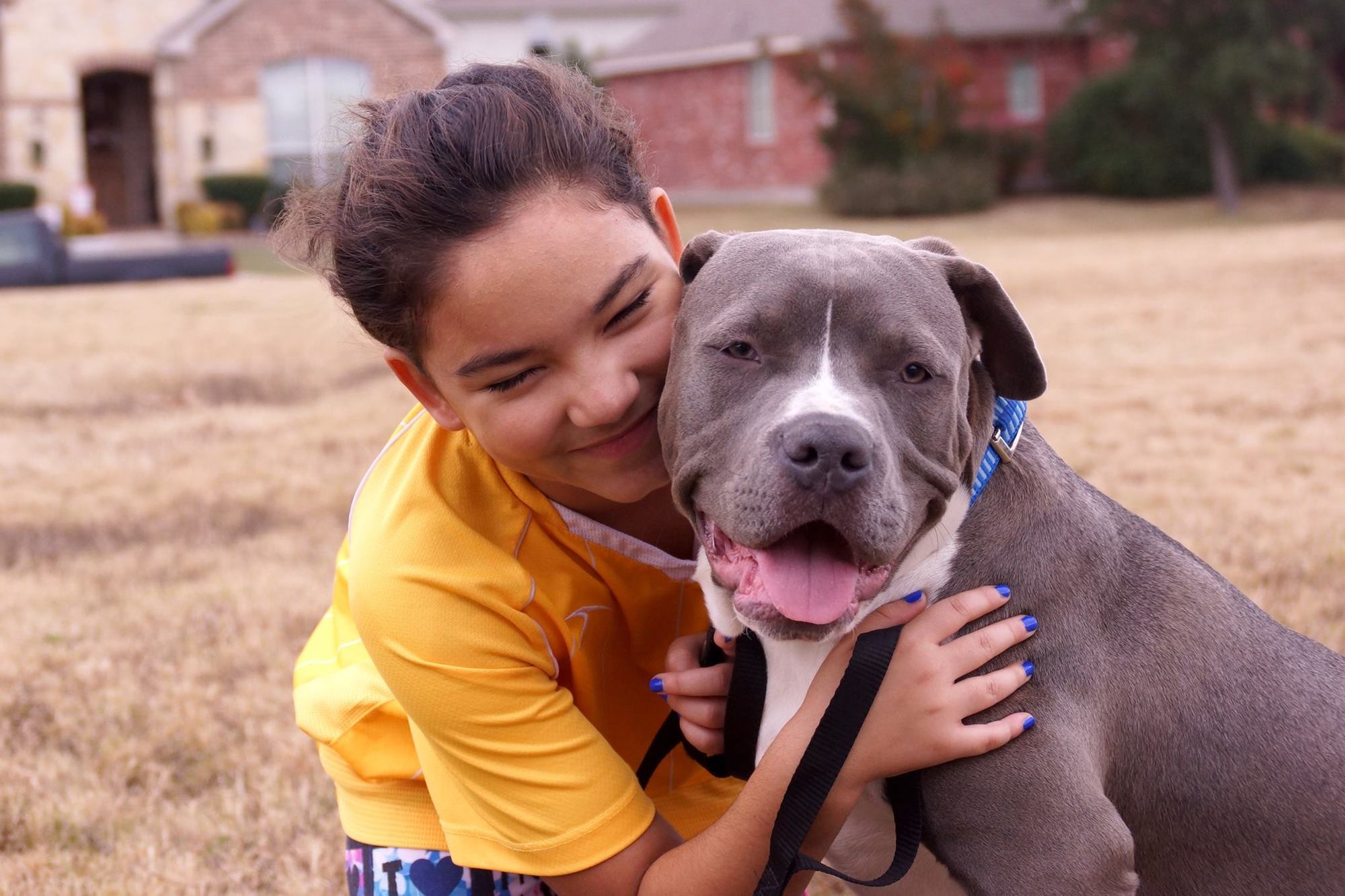 Young child smiling outside while loosely hugging a grey smiling pit bull
