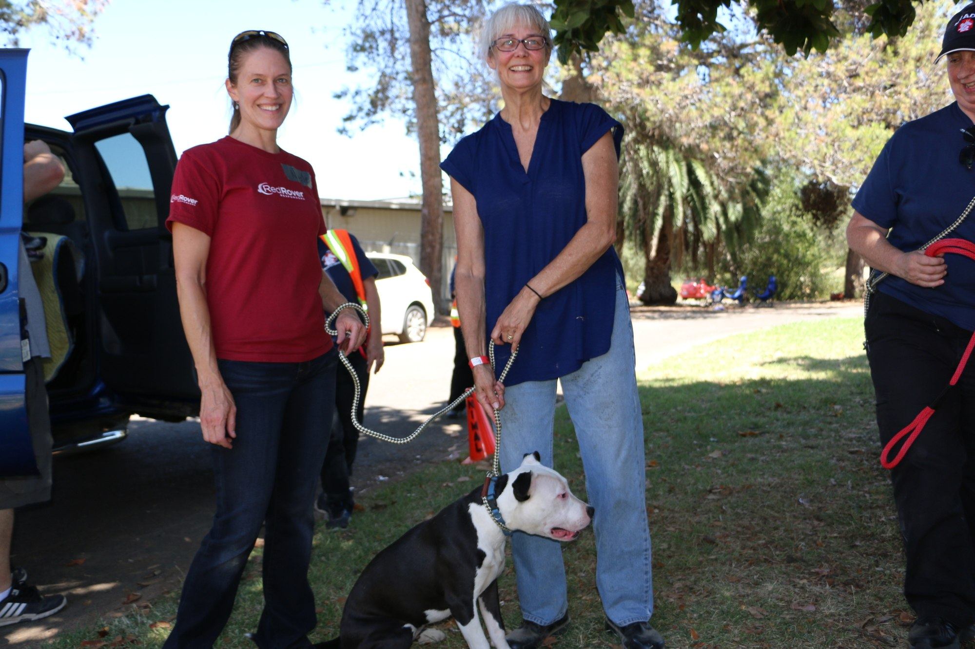 Emergency Animal Sheltering Keeping Families Together RedRover