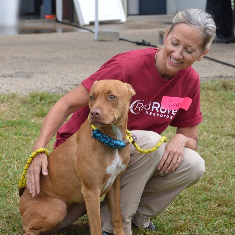 RedRover volunteer veterinarian provides much needed care