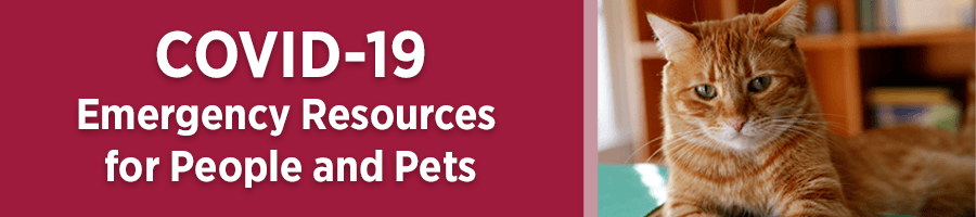 COVID-19 Emergency Resources for People and Pets
