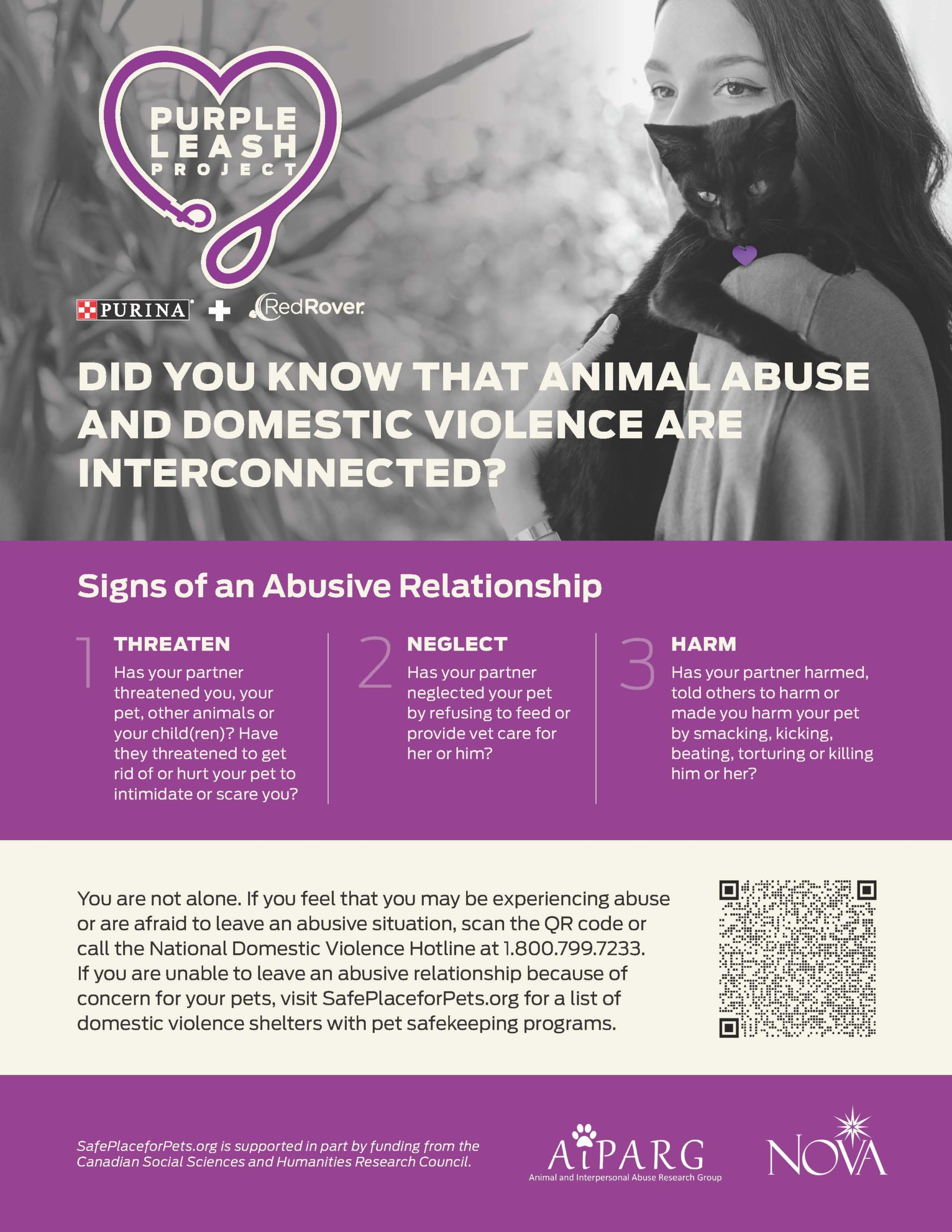 Domestic Violence and Pets
