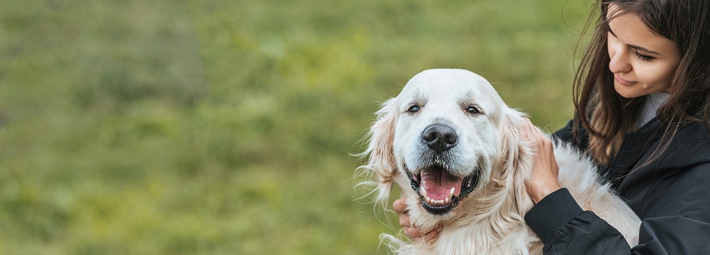 Beautiful Young Woman Stroking Adorable Retriever Dog In Park