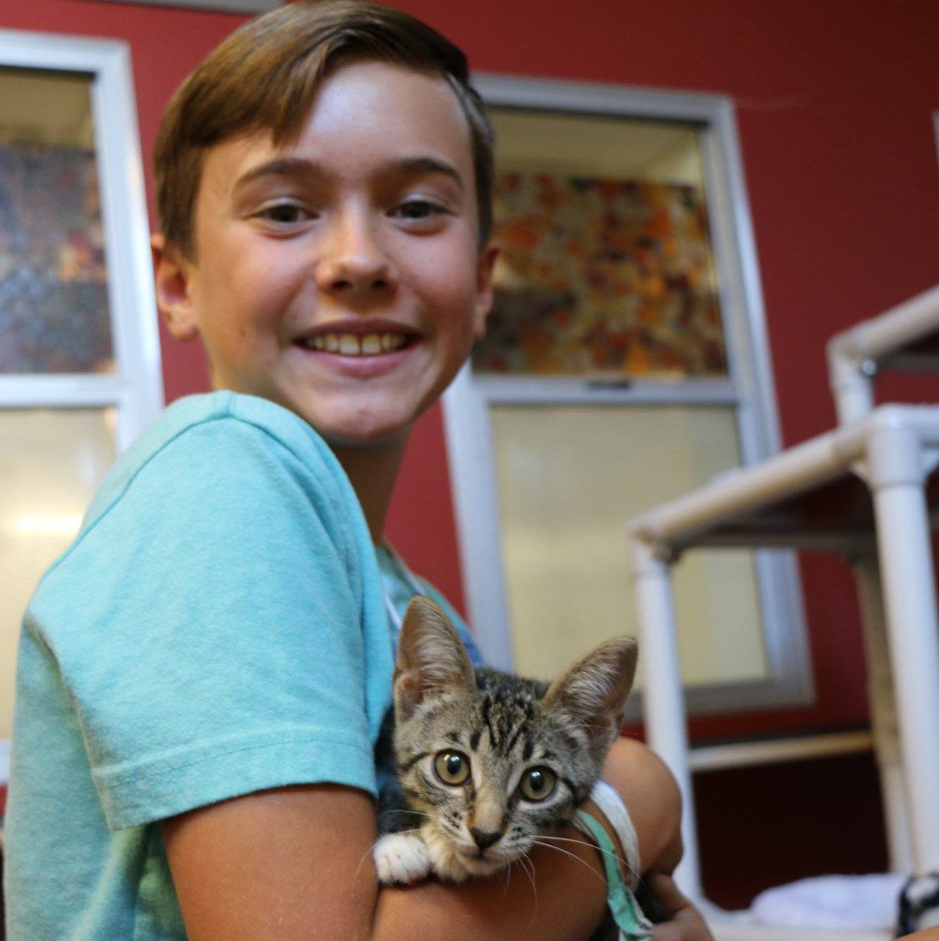 Young boy with small kitten