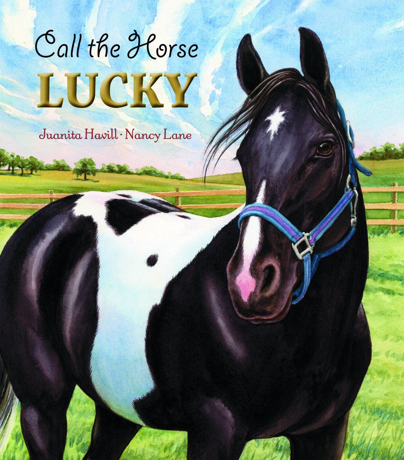 Call the horse Lucky Cover