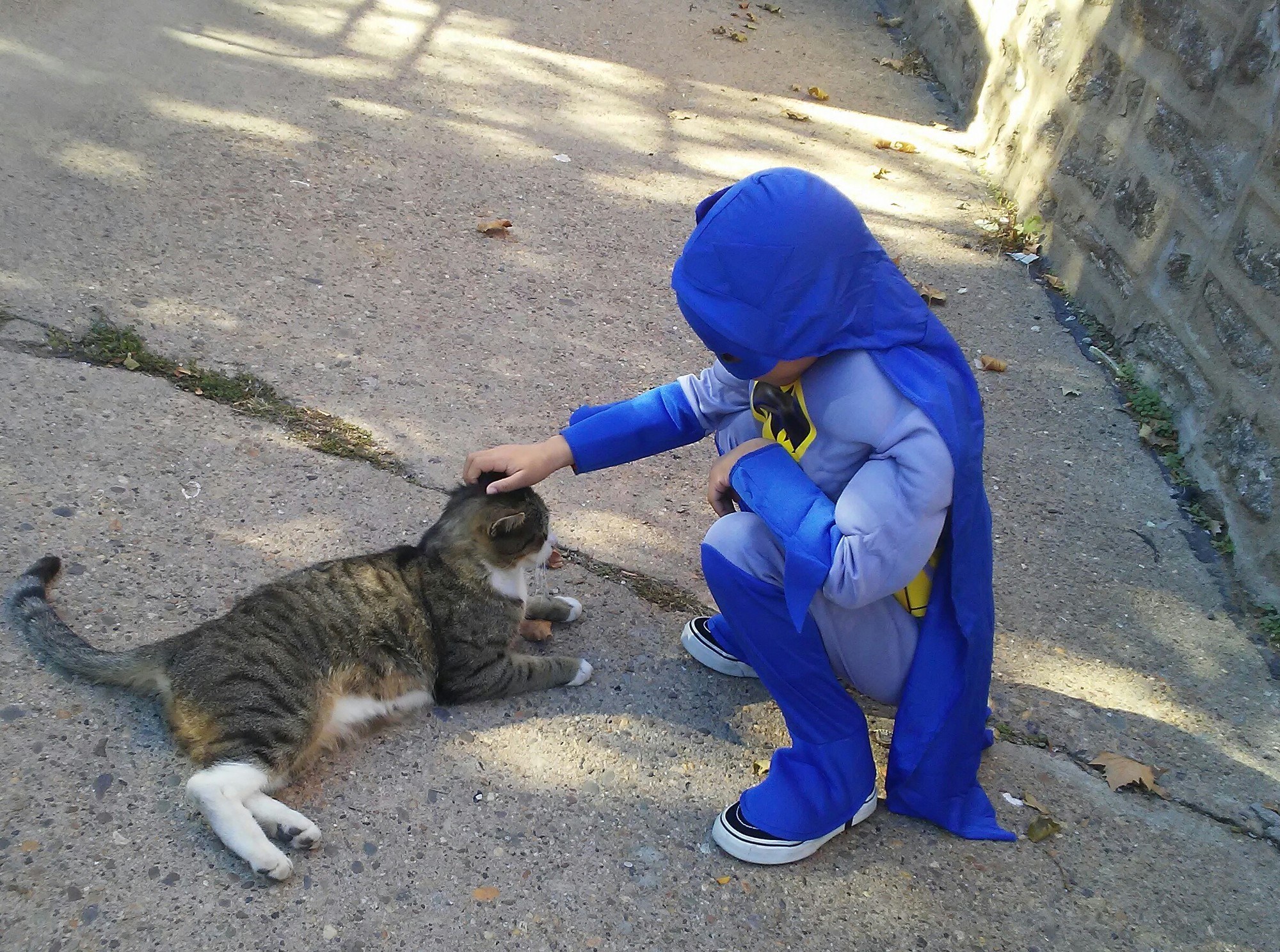 Small boy wearing superboy costume petting cat outside