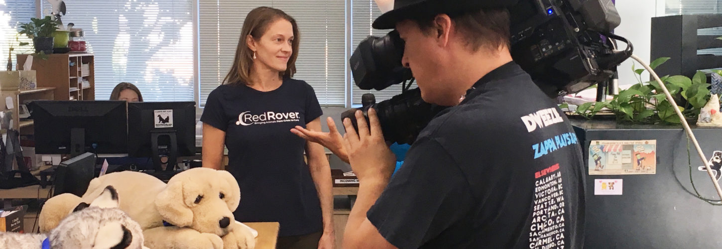 Nicole Forsyth, President & CEO of RedRover, wearing a blue RedRover t-shirt and smiling in front of a camera man in the RedRover office