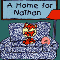 A Home for Nathan