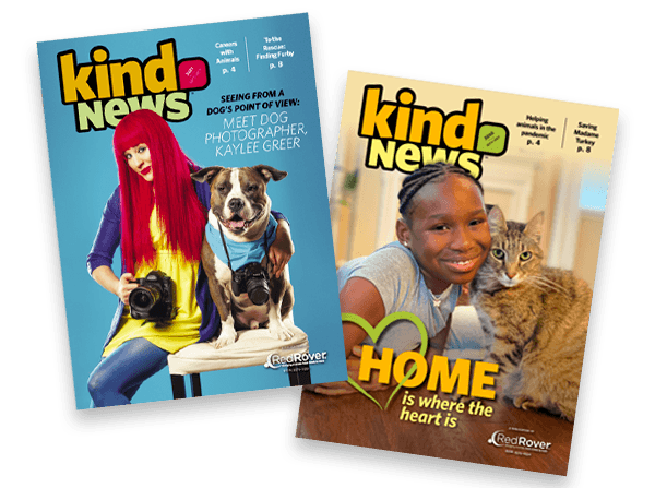 Kind News covers