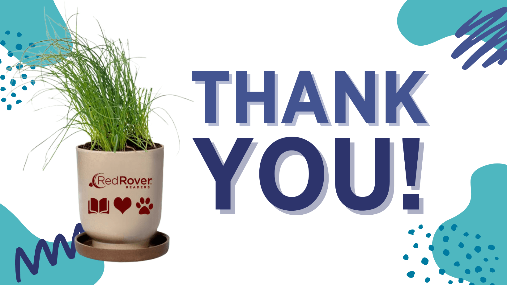 Thank you! Photo of RedRover Readers eco pot with chives growing