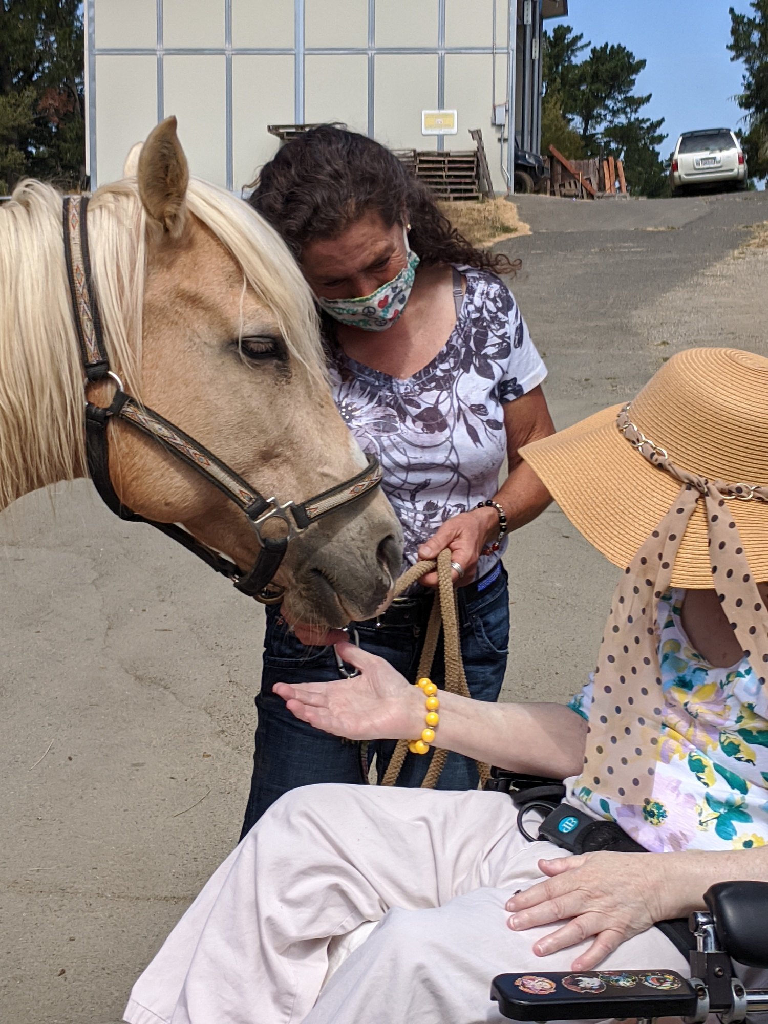 A woman with long, wavy brown hair wears a covid-19 mask, a white and purple floral shirt, and jeans as she introduces a blonde horse to a woman wearing a tan floppy sun hat, purple and green floral shirt, and white pants seated in a wheelchair. 
