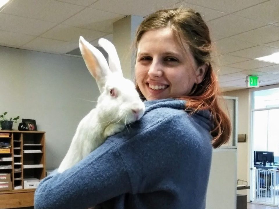 Caty is a Caucasian female with brown hair and pink highlights. She is wearing a blue sweater and holding a white bunny in her arms. The background shows the RedRover office.