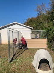Two RedRover volunteers in red shirts construct fencing for an outdoor dog enclosure. 