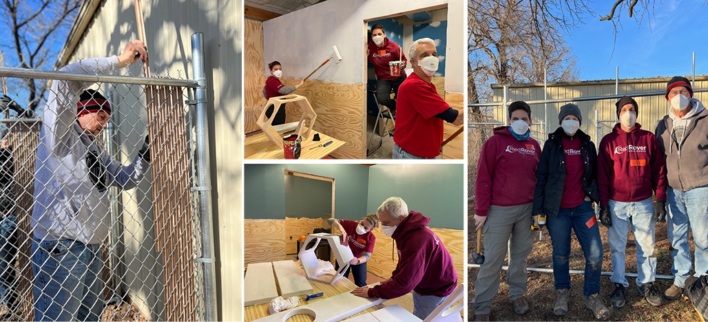 Left photo: a male volunteer inserts privacy slats through a chain link fence. Middle top photo: 2 female and one male volunteer paints inside the building. Middle bottom: a male and female volunteer paint cat enrichment boxes. Right photo: a group of RedRover Responders volunteers poses for a photo outside