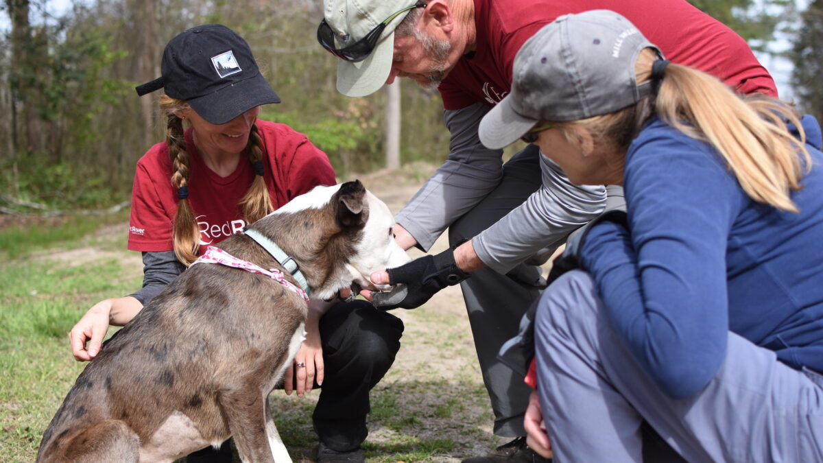 Devon and two RedRover Responders volunteers greet a dog we helped during the recent Unchain Marlboro deployment