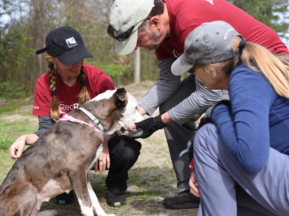 Devon and two RedRover Responders volunteers greet a dog we helped during the recent Unchain Marlboro deployment