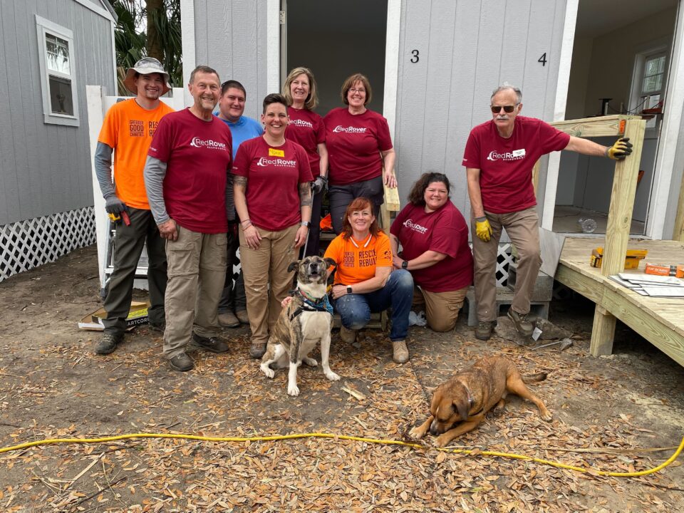 RedRover Responders volunteers post with Rescue Rebuild team members in front of new pet housing at a domestic violence shelter. They are joined by two dogs from the Ahimsa House organization