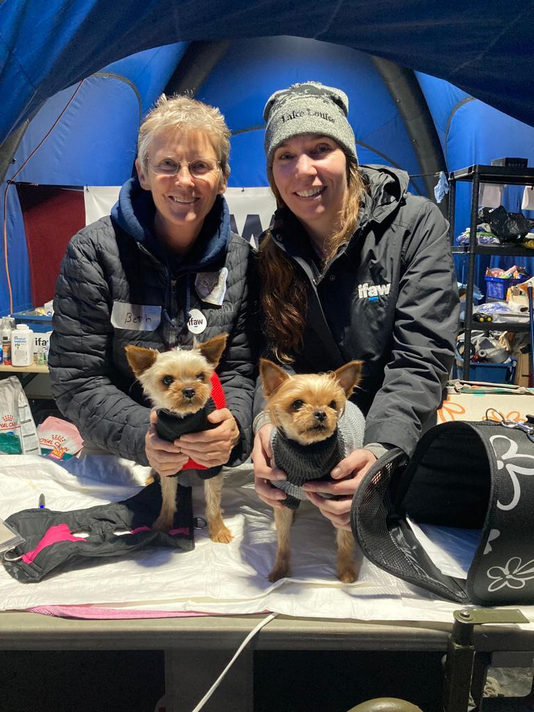 Two women hold Yorkshire Terriers in a volunteer tent