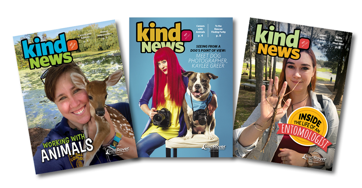 Covers of Kind News magazine showing careers with animals features