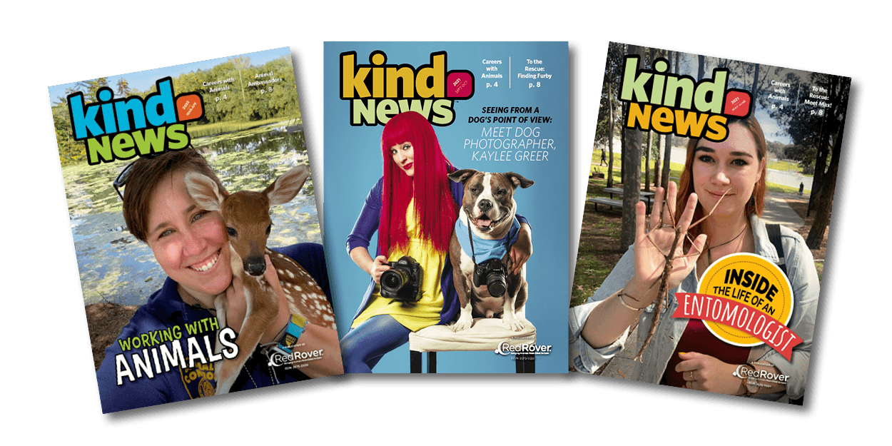 Covers of Kind News magazine showing careers with animals features