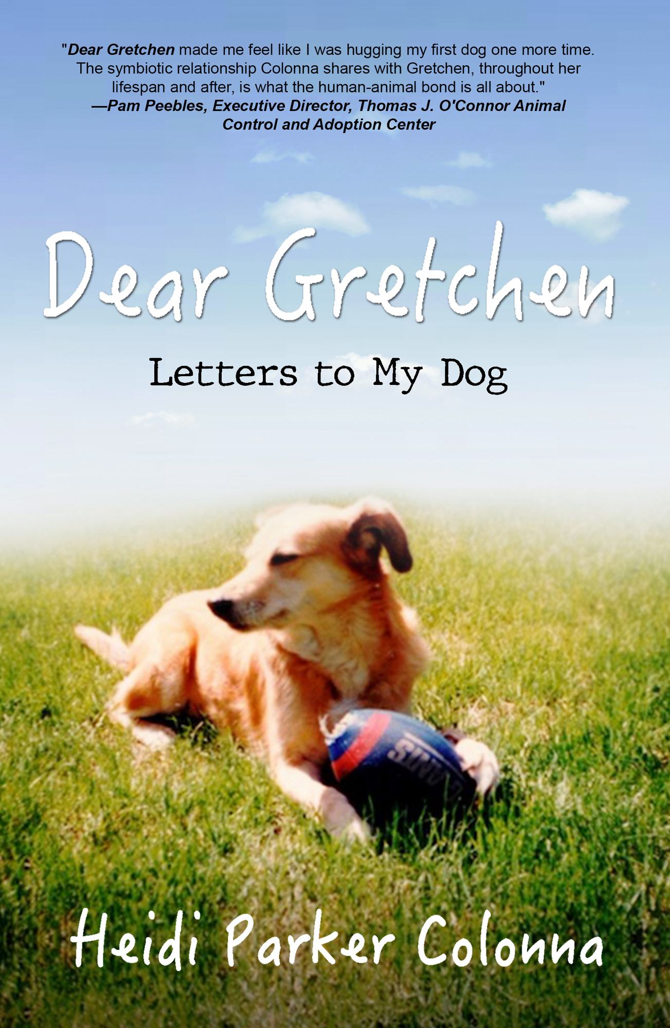Cover of Dear Gretchen written by Heidi Parker Colonna