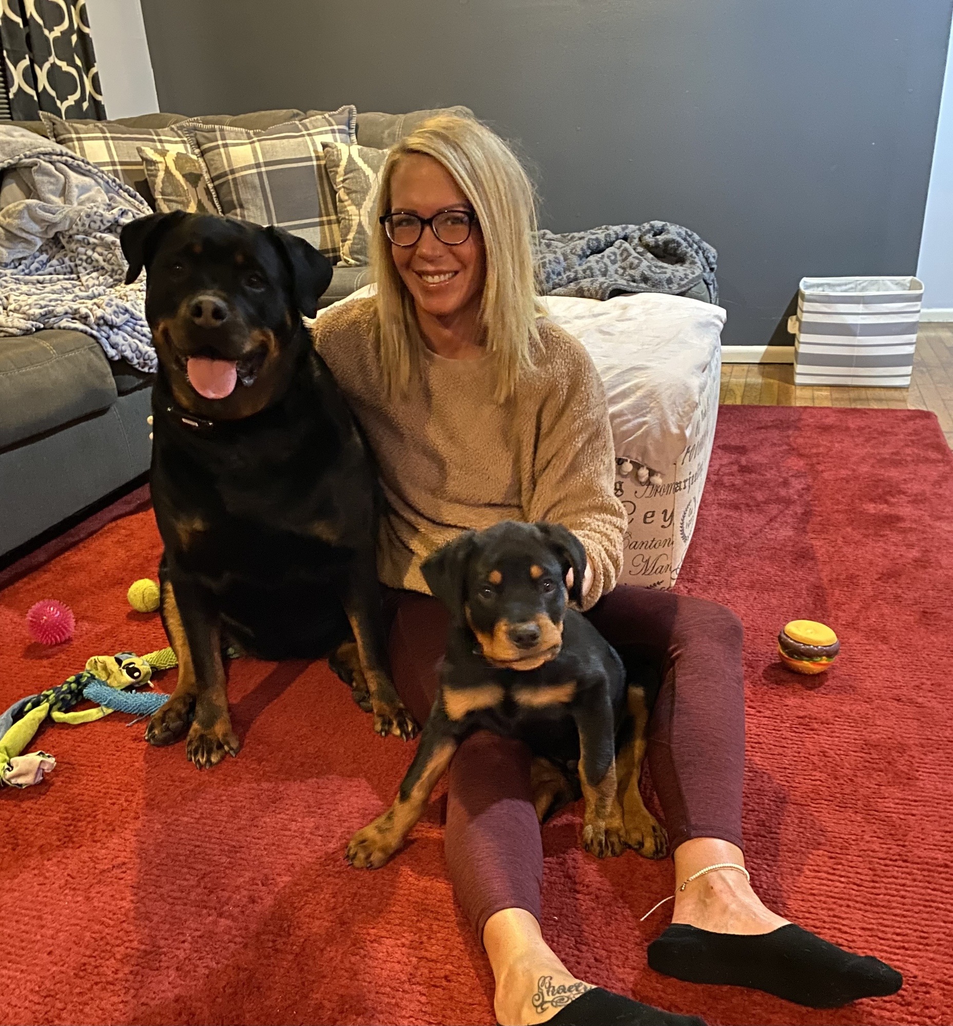 A woman with her two Rottweilers