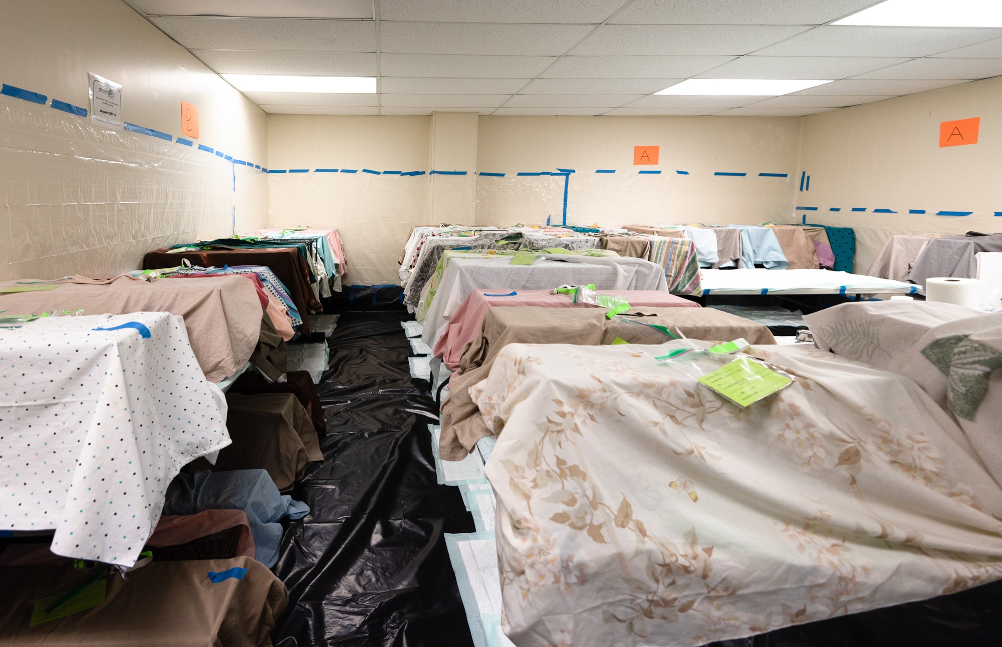 A room of cat carriers covered by blankets and towels while cats recover from surgery