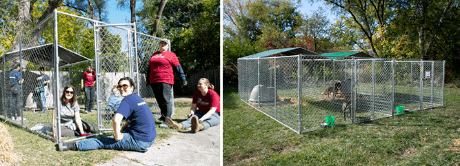 Side-by-side images: on left, a progress photo of the RedRover and Dog Aide teams building an enclosure for a dog. On right, a photo of completed enclosures for two dogs.