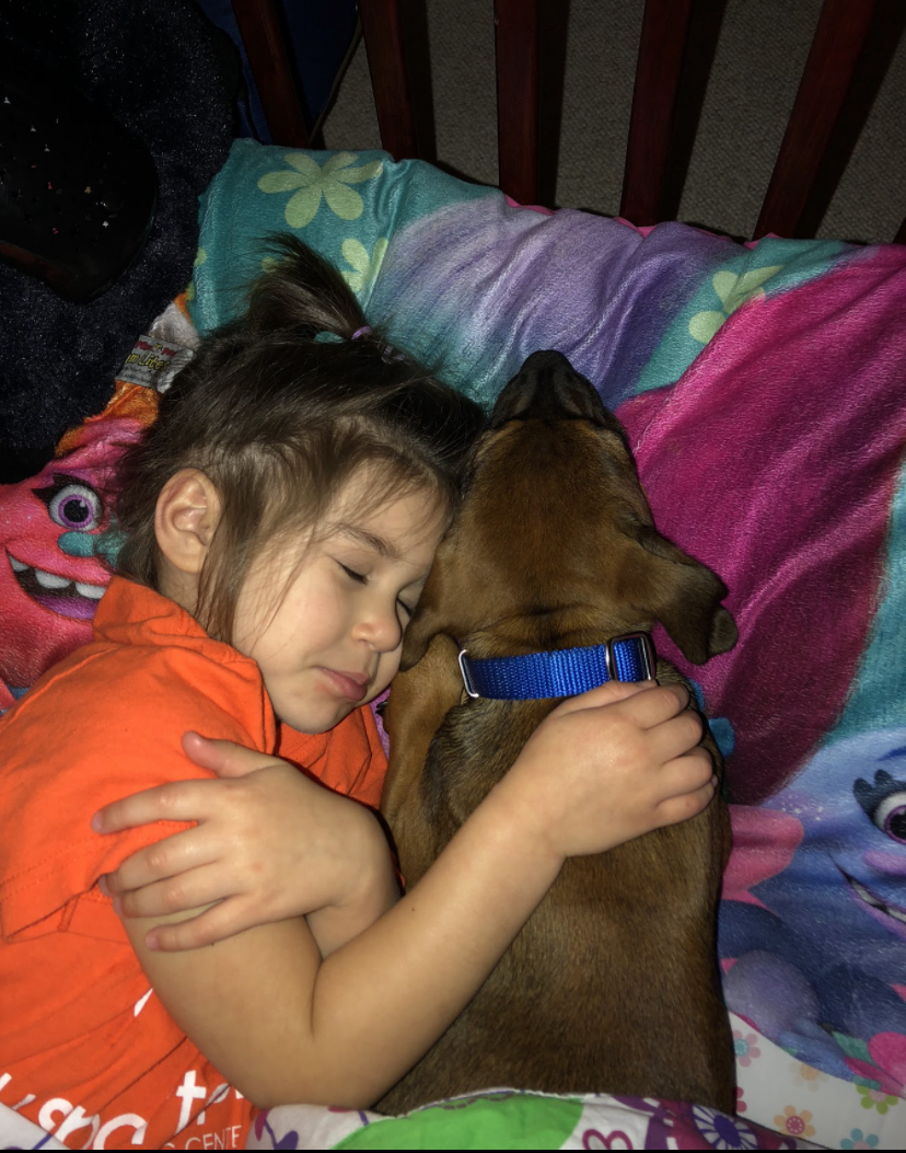 Baxter is a brown and tan mixed-breed dog sleeping beside one of the children in his family.