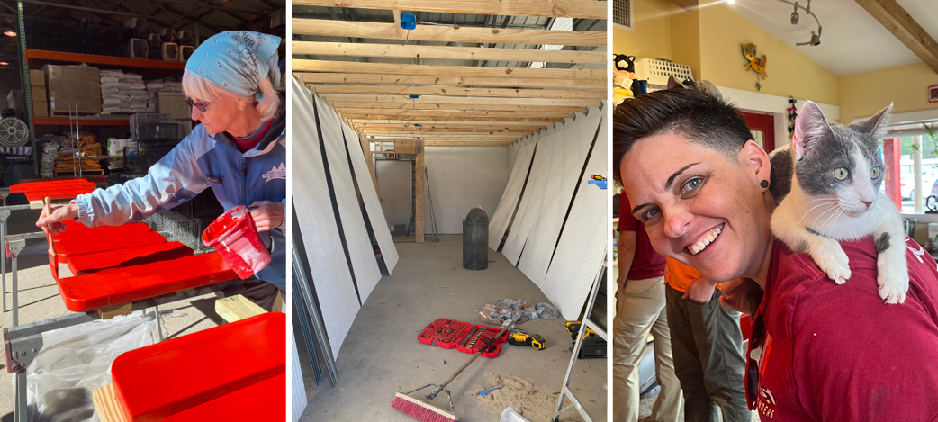 A collage of 3 deployment photos: on the left, a RedRover Responders volunteer paints wooden cat enrichment pieces red. In the middle, the "before" photo of a pet-friendly space under construction. On the right, a RedRover staff member in a red volunteer shirt poses with a gray and white cat who is lying on the staff member's back