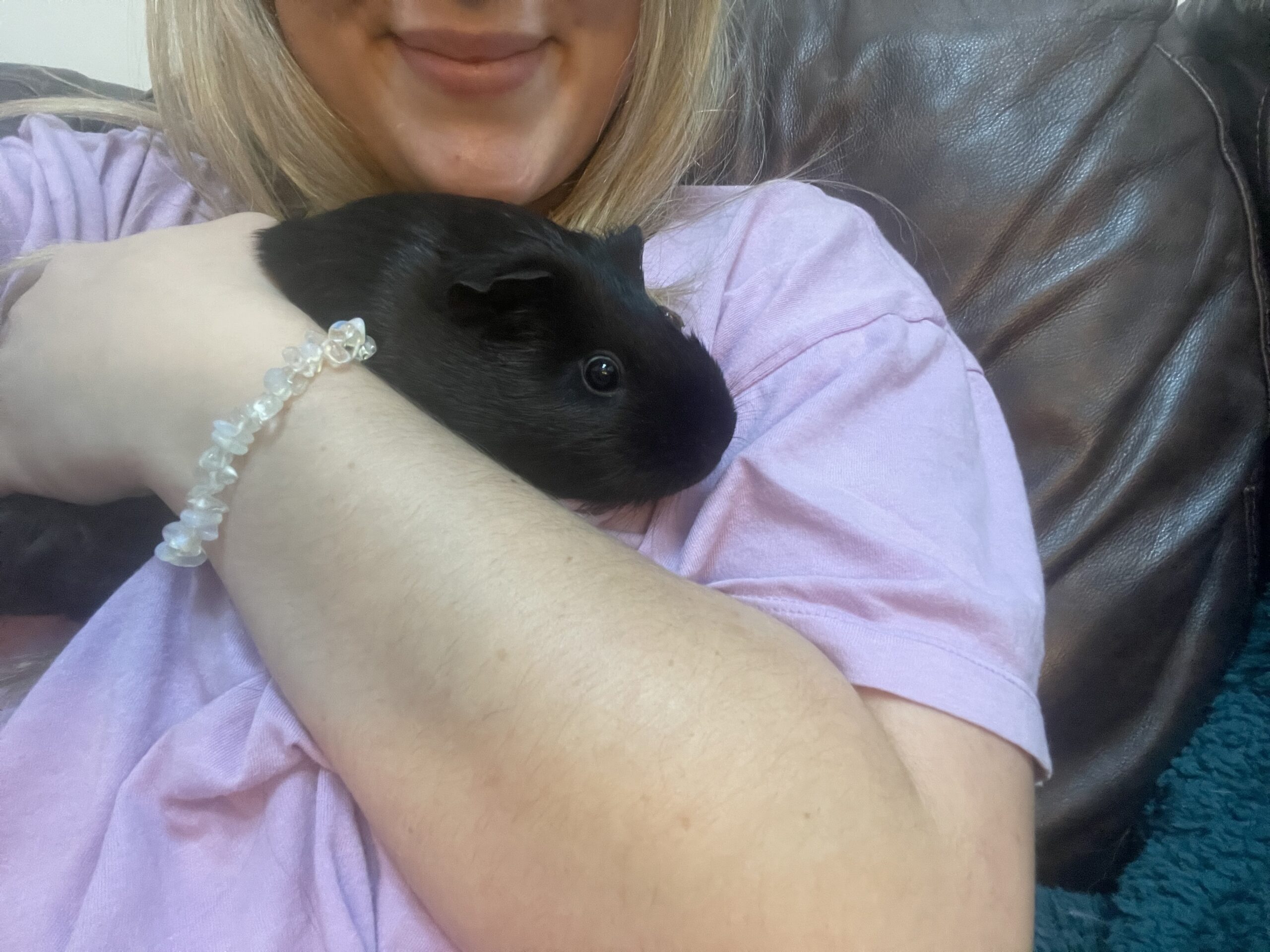 A black guinea pig in the arms of her owner who is wearing a light pink t-shirt and has blonde hair.