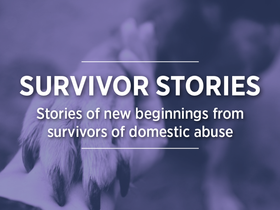 Graphic: purple colorized background image of a dog paw in a person's hand with text that reads "Survivor Stories: Stories of new beginnings from survivors of domestic abuse"