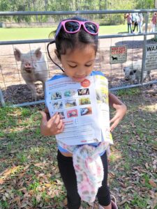 child holding a magazine in front of two pigs