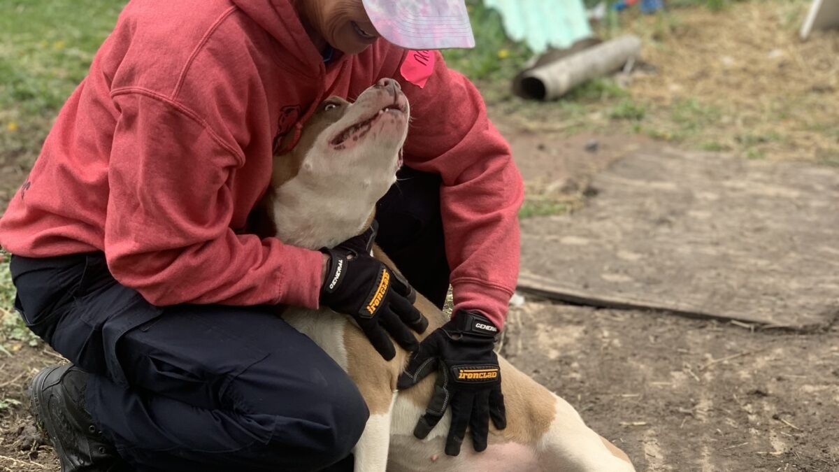 woman wearing cap petting dog