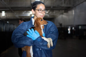 woman in blue jumpsuit and blue gloves wearing glasses holding a beagle