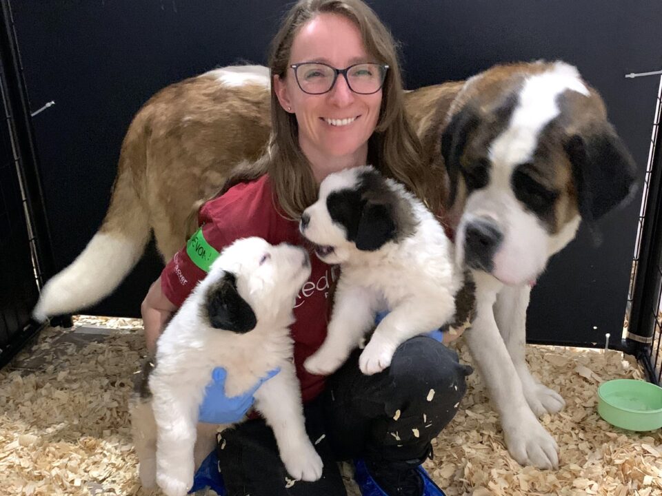 woman with glasses and red shirt holding two puppies next to their mother