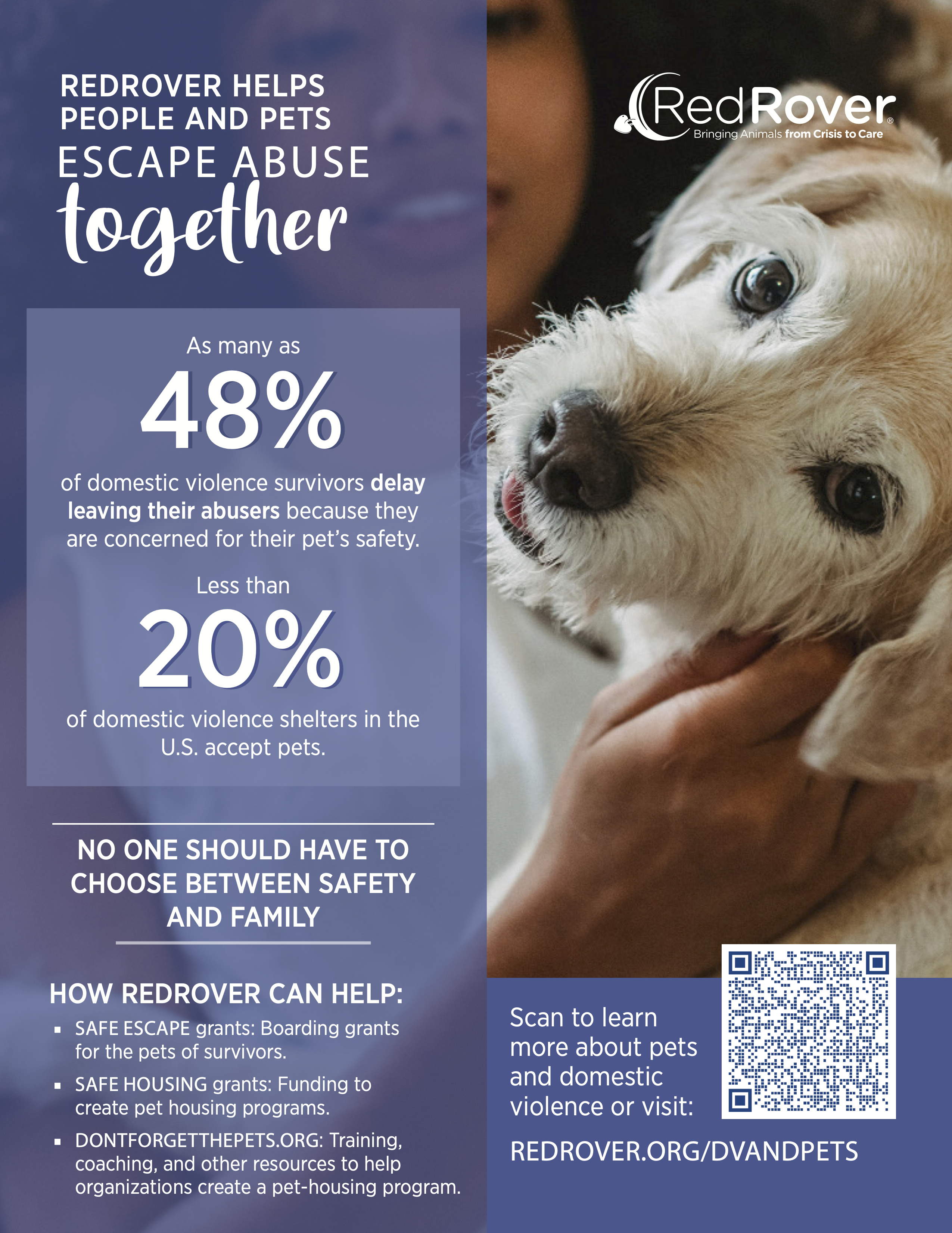 RedRover Domestic Violence and Pets Flier with statistics on the connection between domestic violence and animal abuse.