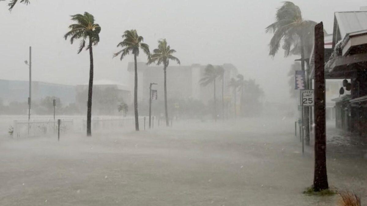 Hurricane / Tropical Storm Debby affects Fort Myers, Florida with heavy rains and palm trees blowing in the wind.