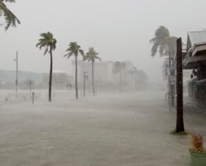 Hurricane / Tropical Storm Debby affects Fort Myers, Florida with heavy rains and palm trees blowing in the wind.