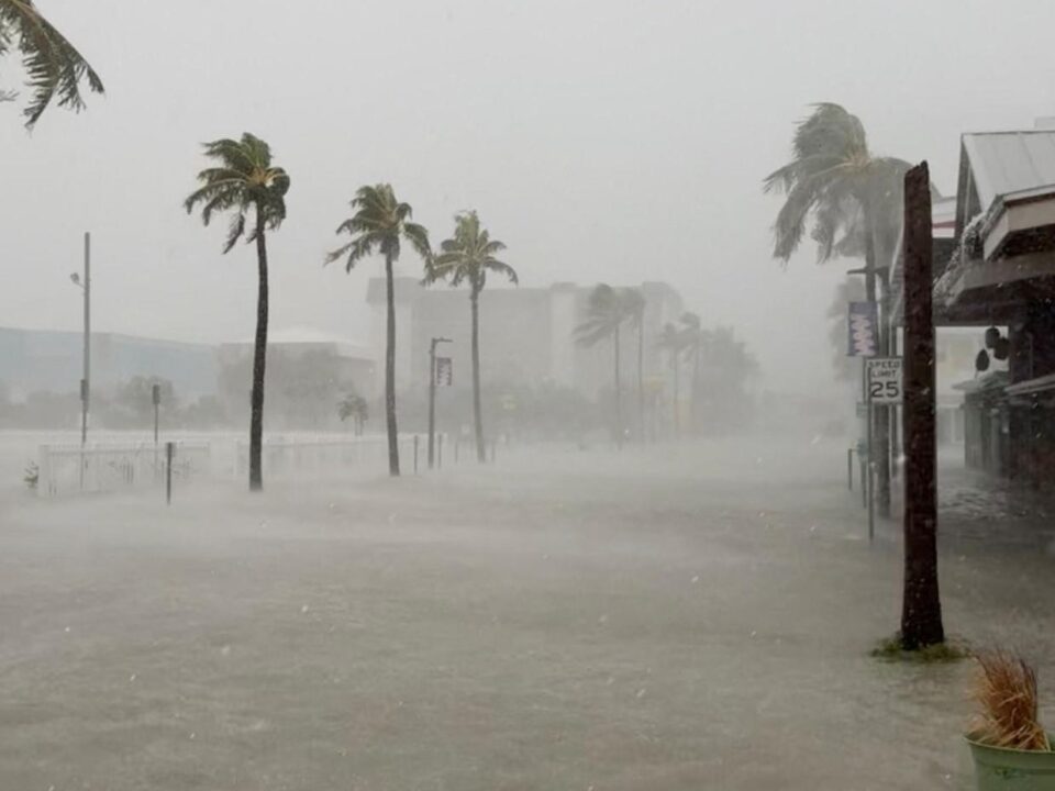 Hurricane / Tropical Storm Debby affects Fort Myers, Florida with heavy rains and palm trees blowing in the wind.