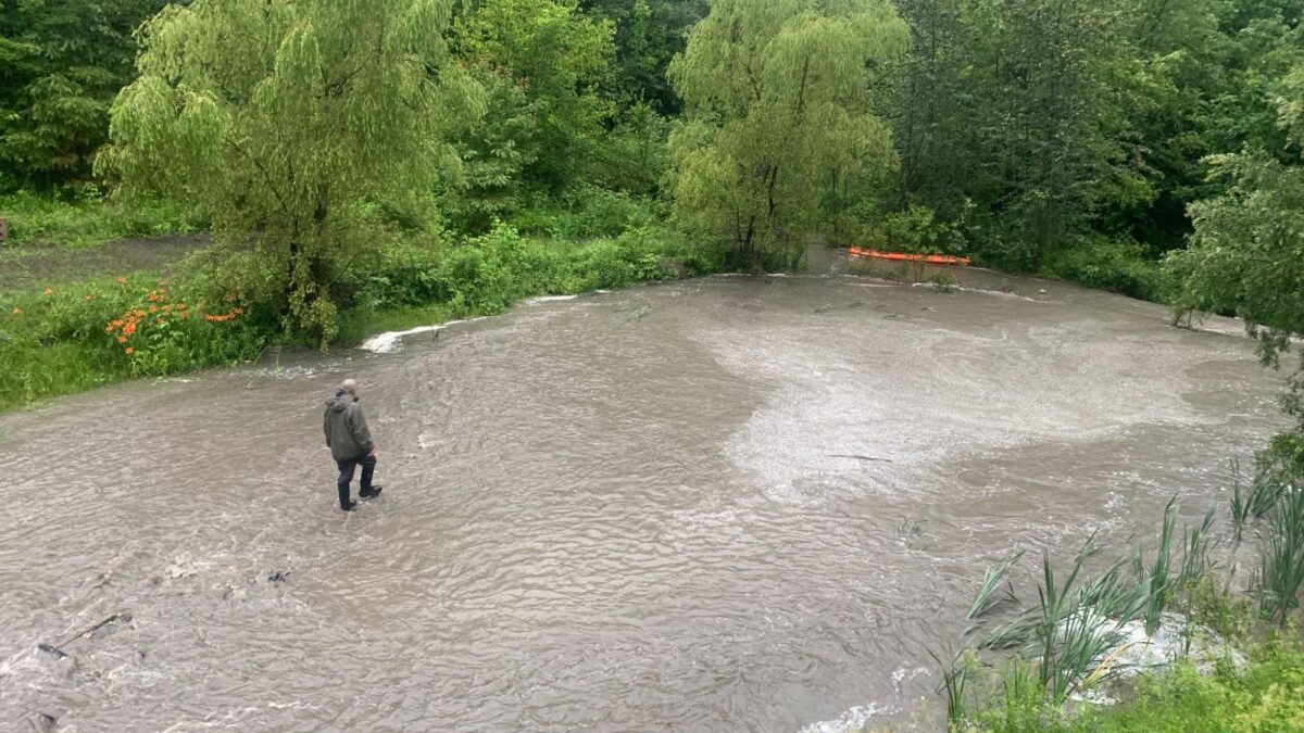 Person walking in a flooded Vermont pond, nearby a broken dam