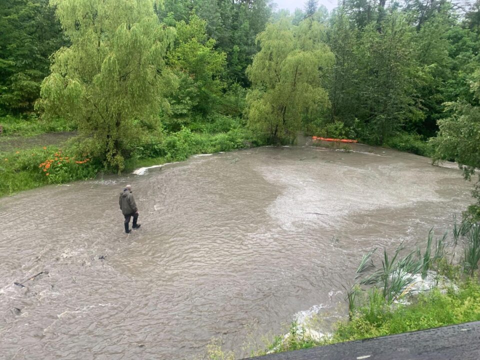 Person walking in a flooded Vermont pond, nearby a broken dam