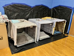 Crates set up to receive pets for Hurricane Helene