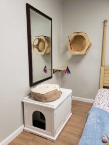 cat shelves and toys, dog house at DV shelter in Louisiana