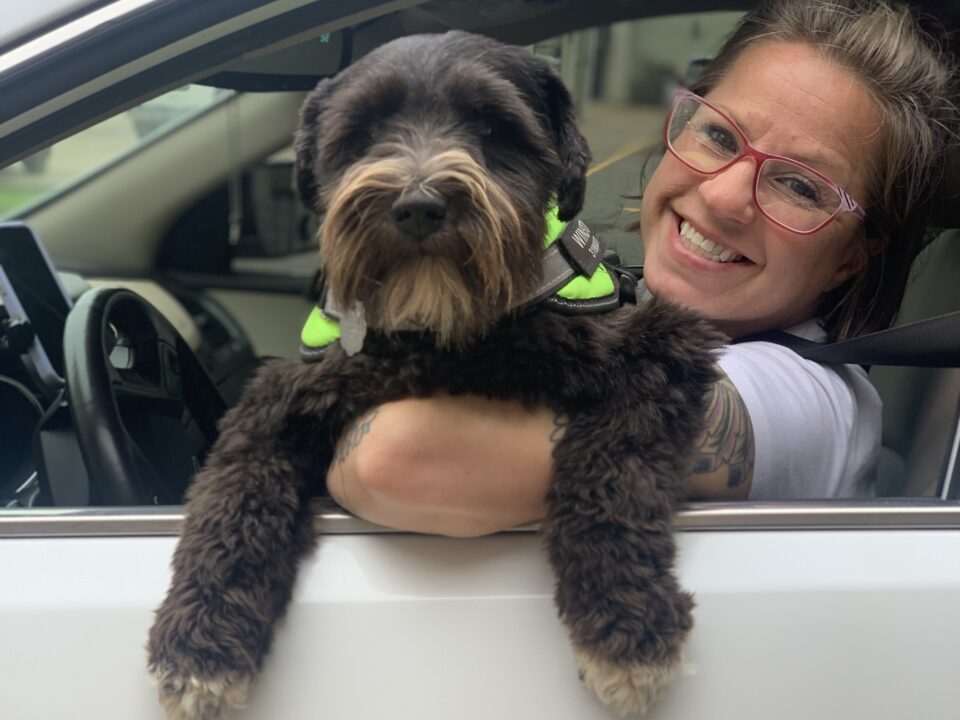 woman in car at drive-through wellness clinic holds curly black dog up