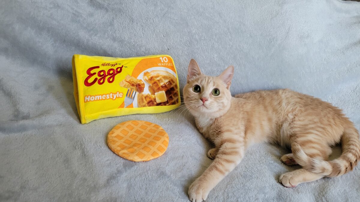 2026 RedRover Calendar Star Belgian Waffle