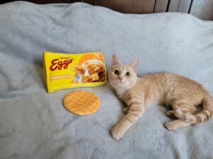 2026 RedRover Calendar Star Belgian Waffle